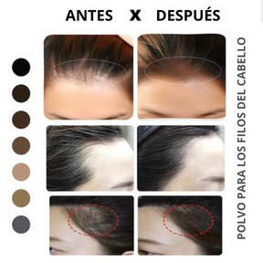 Polvo de Fibra Capilar Sevich - Fin de las Calvas en el Cabello